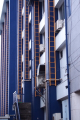 黄色のはしご
