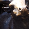 湯島天神の牛像