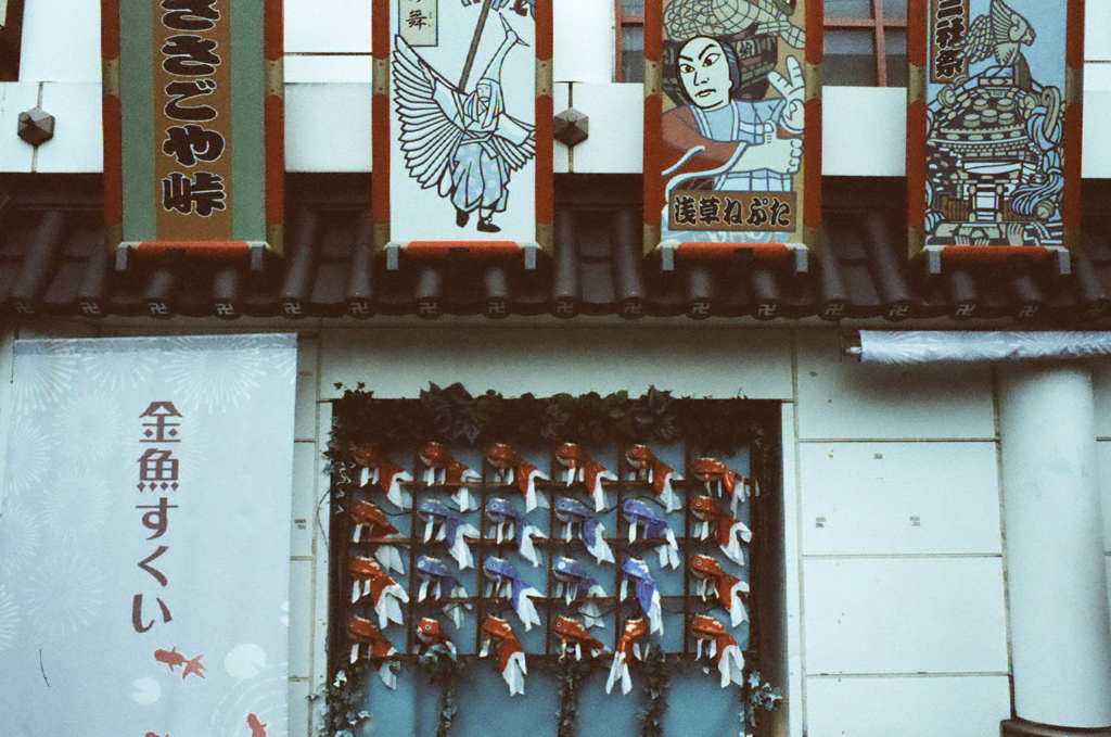 金魚すくい (FILM)