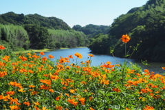 花見川の景色