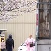 ピンク色