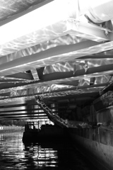 朝日が反射する橋の下