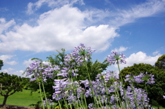 根岸森林公園
