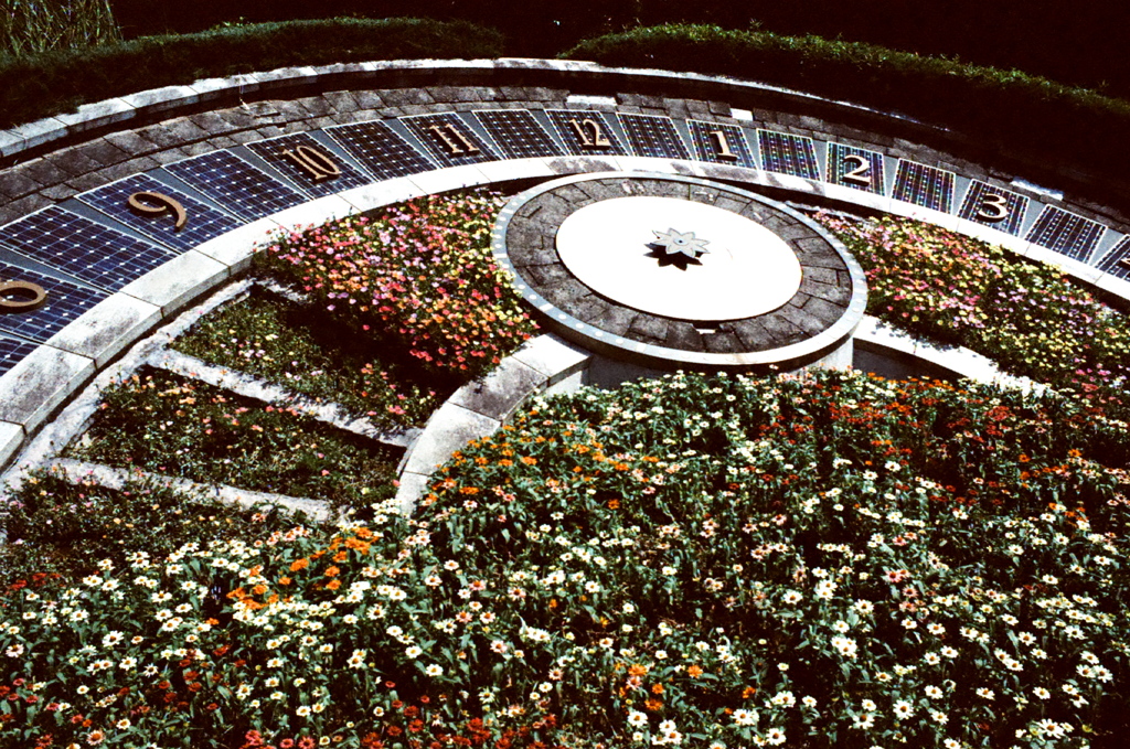 FLOWER CLOCK (FILM)