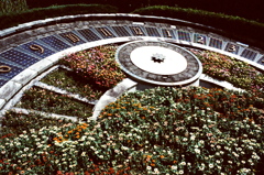 FLOWER CLOCK (FILM)
