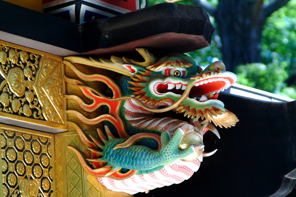 龍