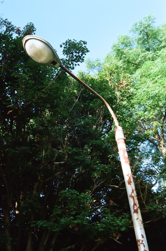 古い街灯 (FILM)