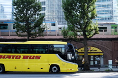 HATO BUS