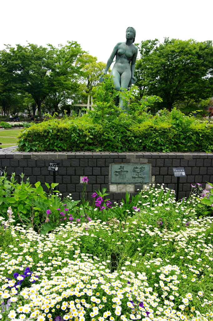 希望