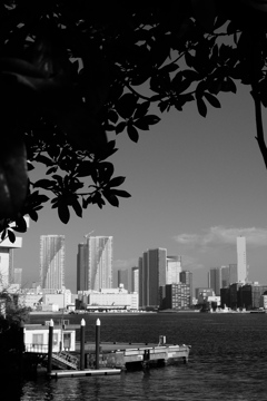 新日の出橋より