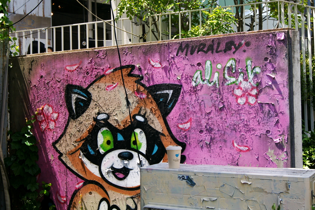 アライグマ？