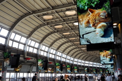 品川駅の猫