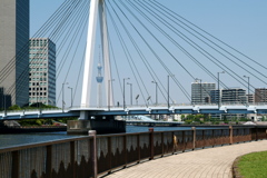 中央大橋とスカイツリー 中央大橋とスカイツリー