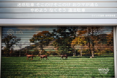 そこのけそこのけ　おウマが通る