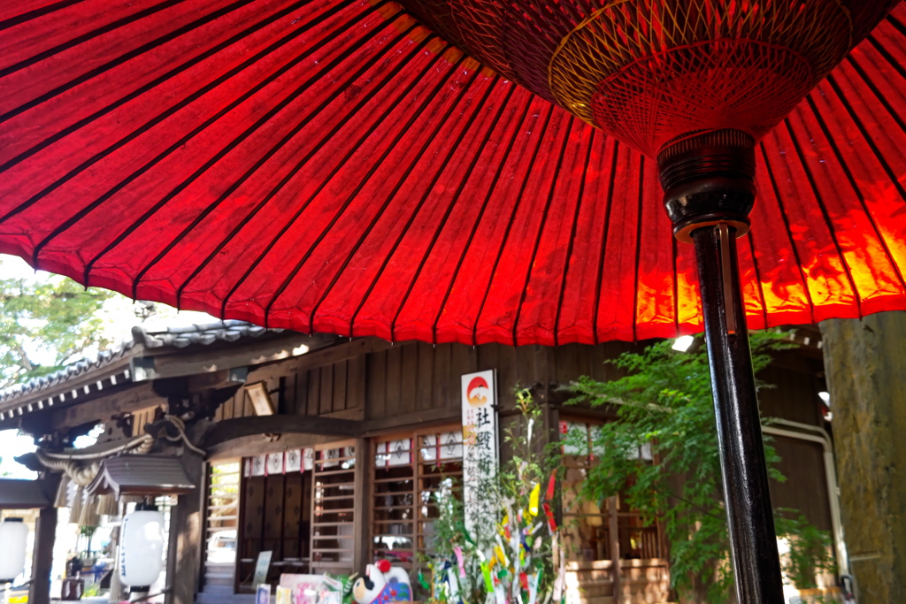 夏の神社