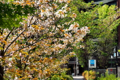 新お茶ノ水駅前