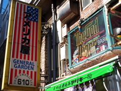 アメリカ