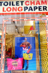 TOILET CHAMP