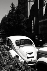 原宿のビートル 原宿のビートル