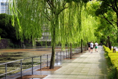 皇居外苑ランナー