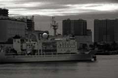 東京海洋大学船