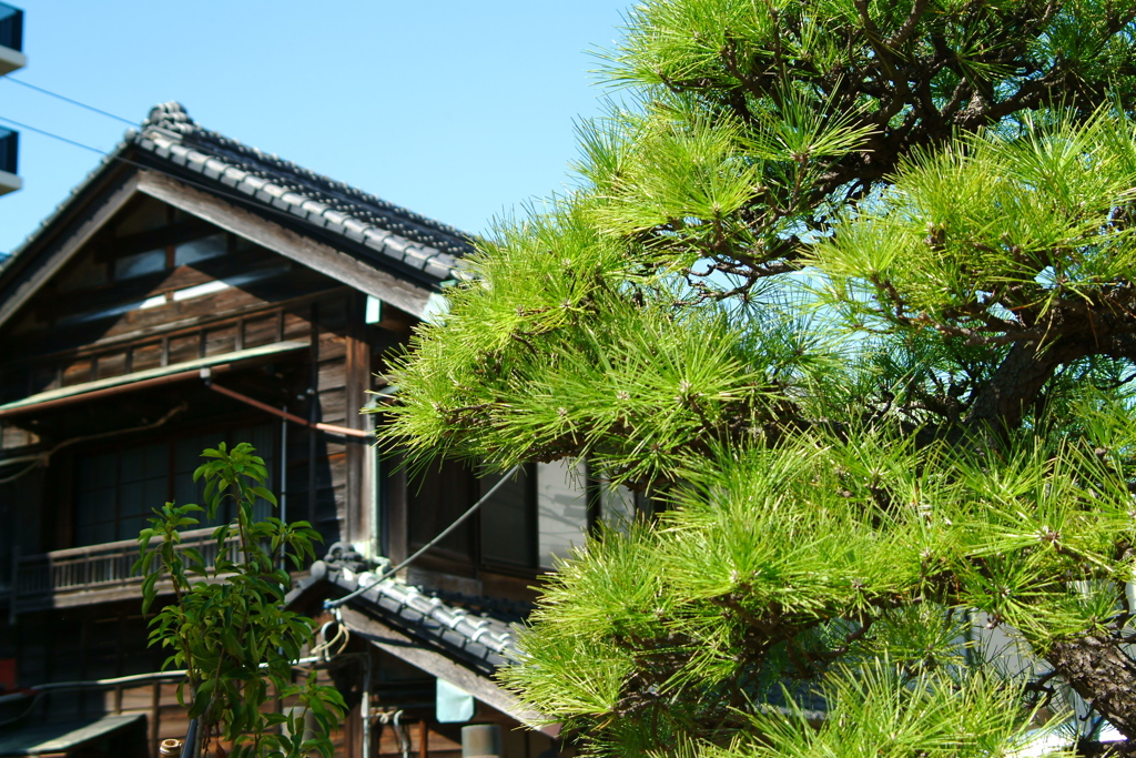 松と家