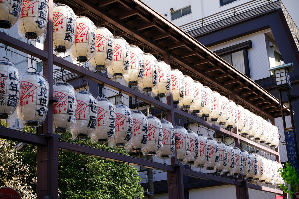 とげぬき地蔵尊提灯