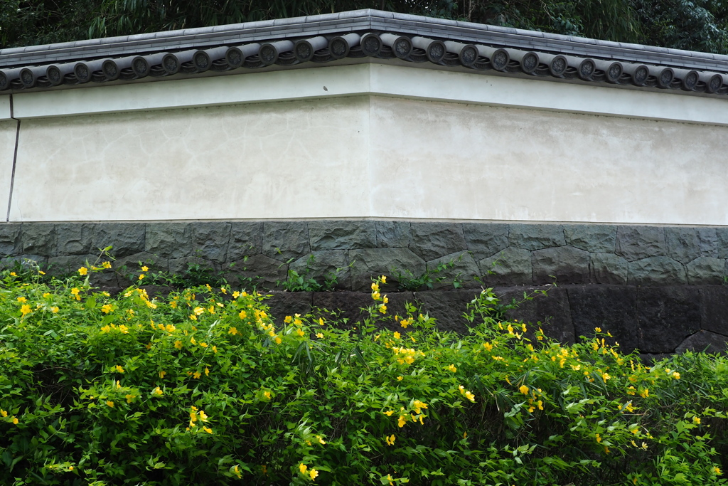 小石川後楽園の塀