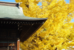 葛飾八幡宮