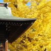 葛飾八幡宮