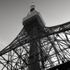 東京タワーを見上げる
