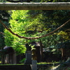 三嶋神社