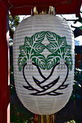 大根ちょうちん