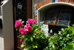 バラの店