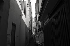 狭い路地からスカイツリー
