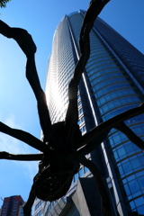 スパイダー