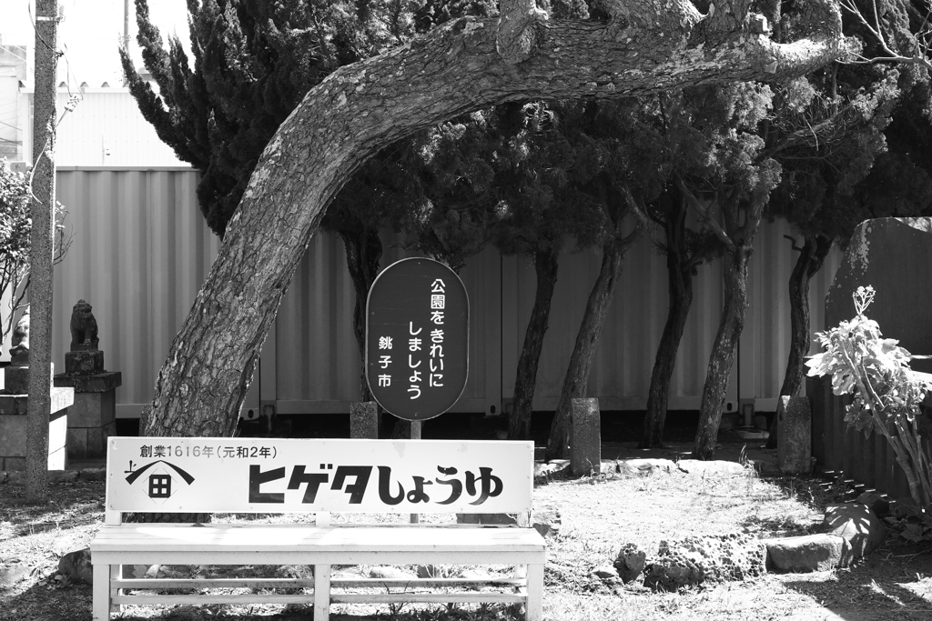 公園をきれいにしましょう