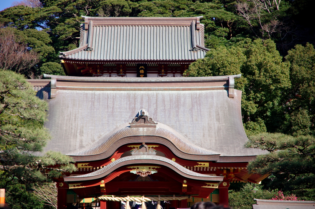 鶴岡八幡宮