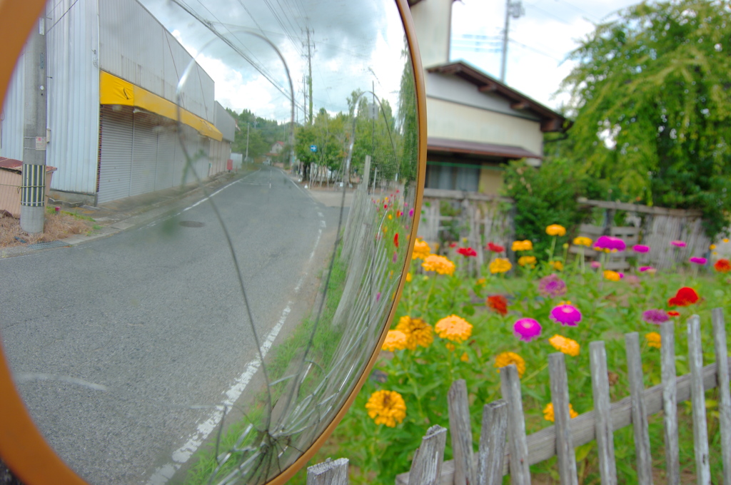 ミラーと花