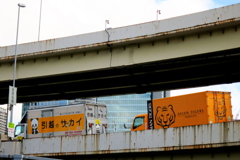 パンダを追うトラ