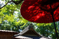 神社の赤い傘