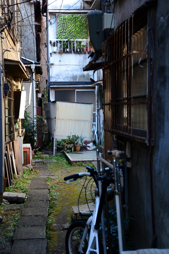 通路