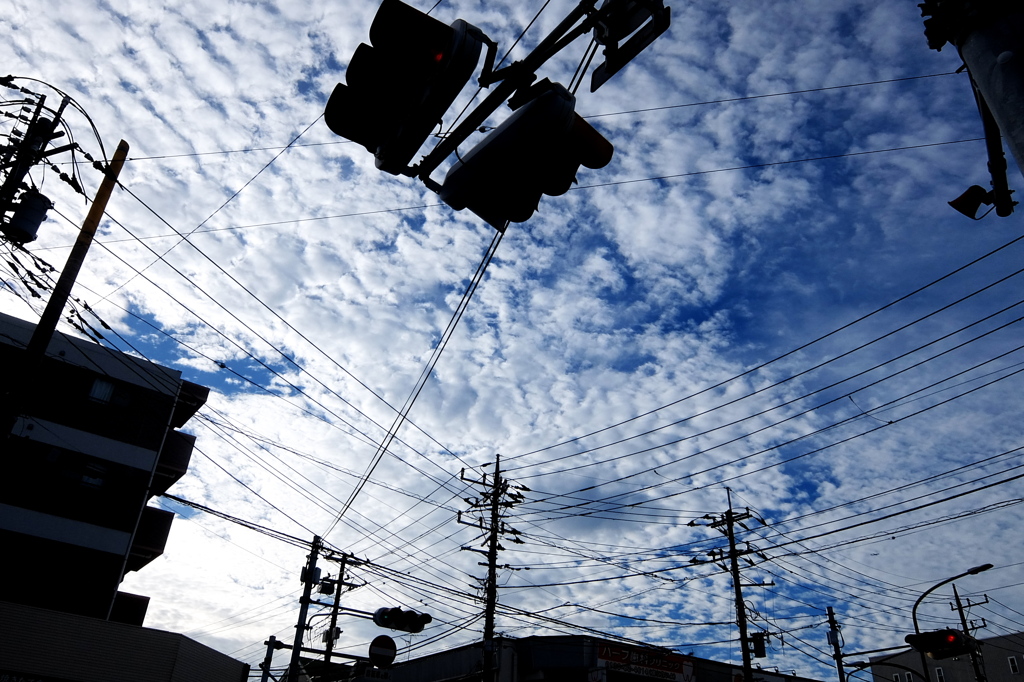 秋空と電線