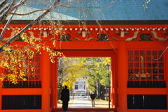 随神門