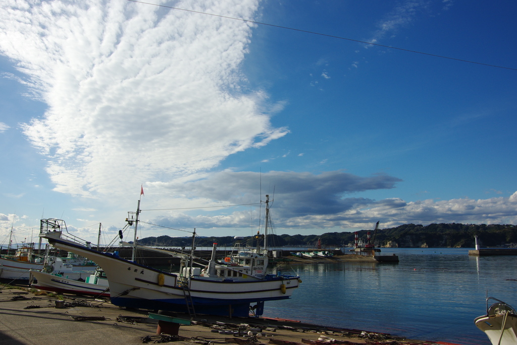 勝浦の港