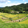 大山千枚田