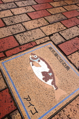 東京湾に住む魚