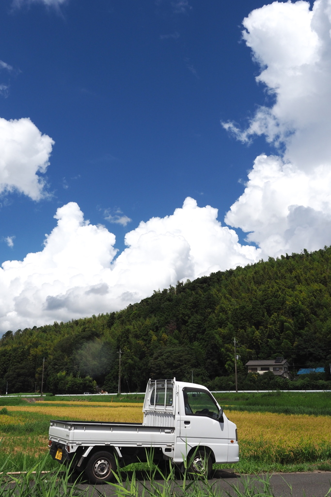 田舎の風景
