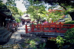 千葉神社(auto110)