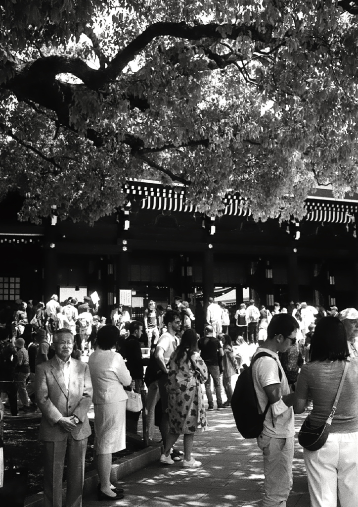 明治神宮 (FILM)